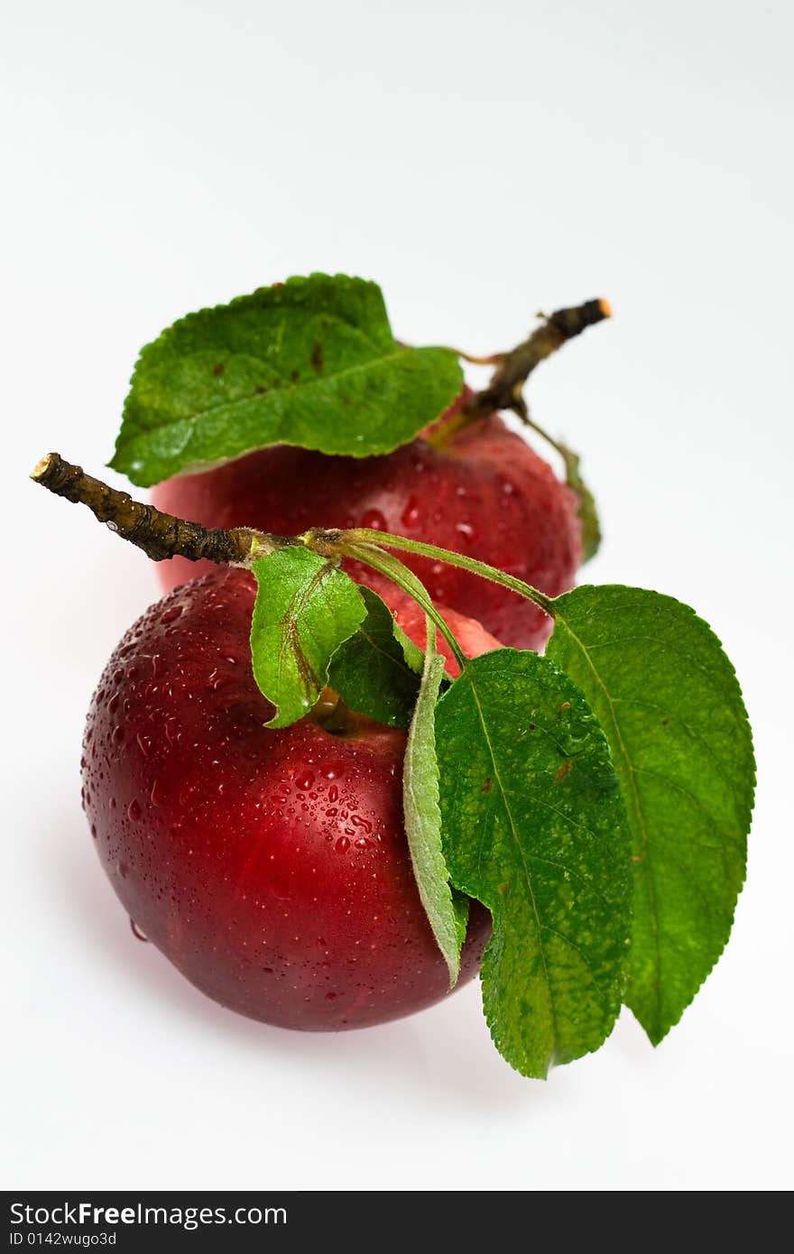 Two fresh red apples with leaves. Studio isolated.