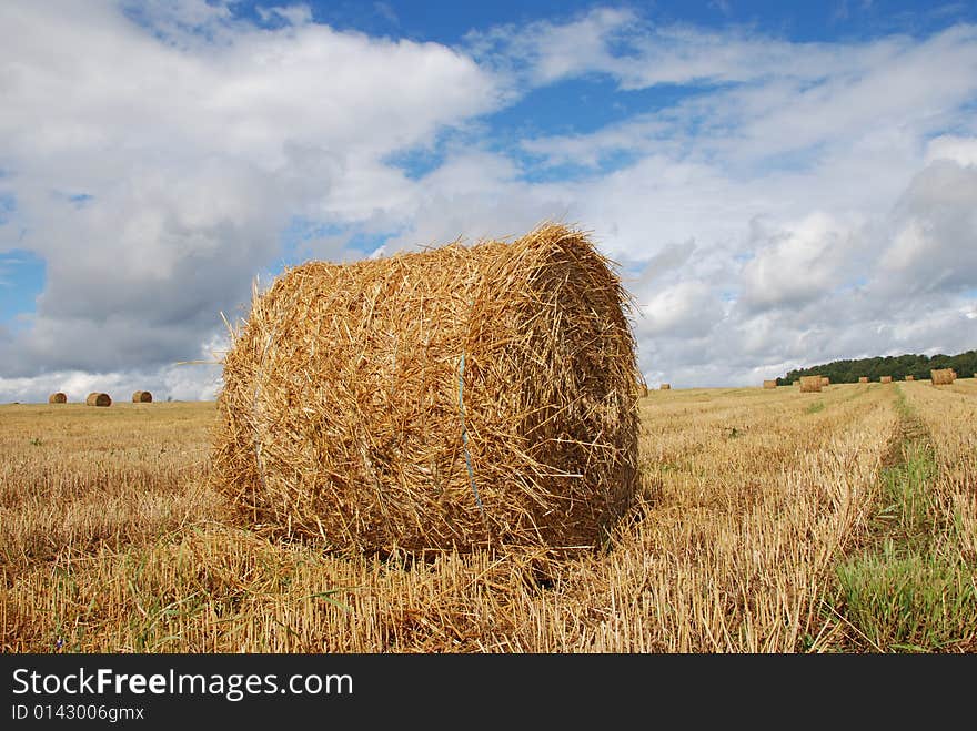 Agricultural landscape of straw bales in a field