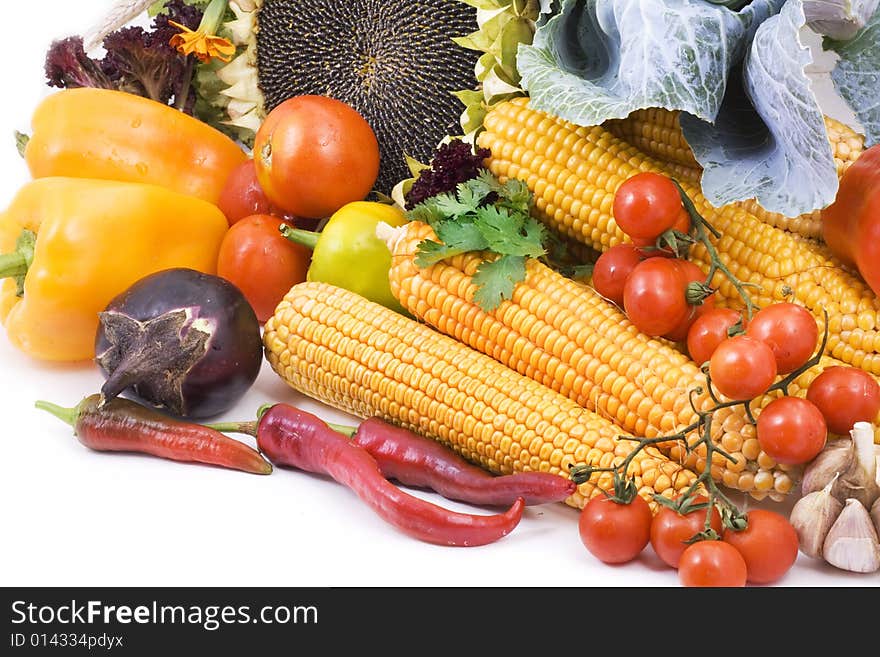 Vegetables on white background