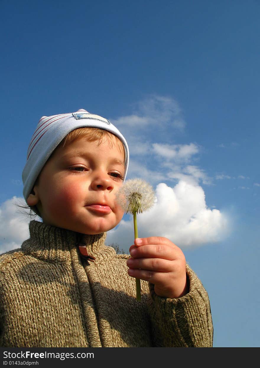 Little boy blow blowball, toddler play with dandelion