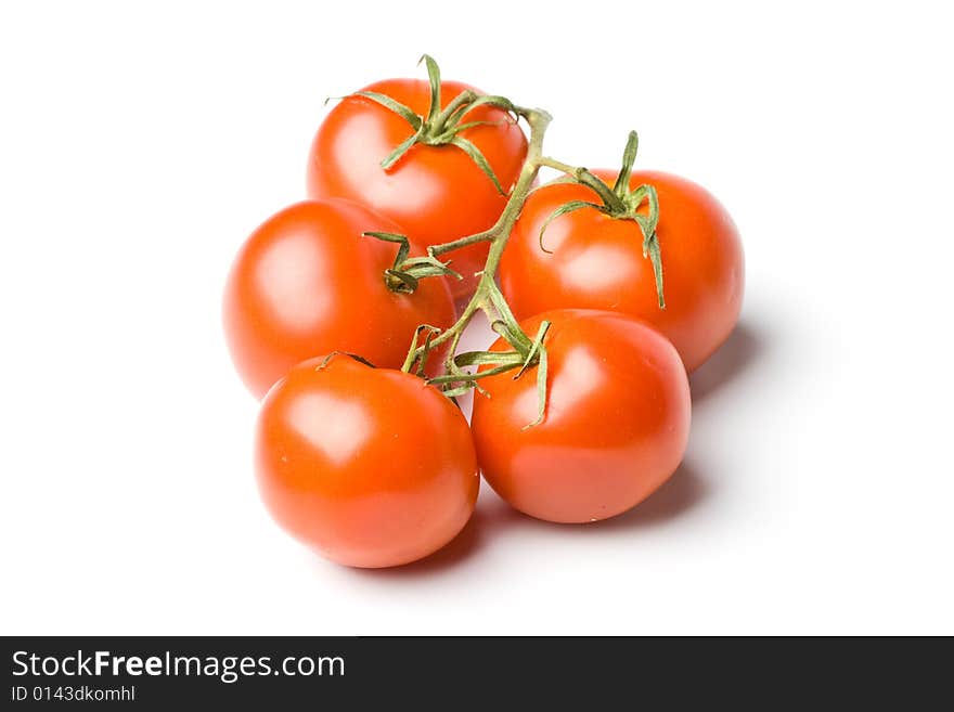 Fresh Tomatoes