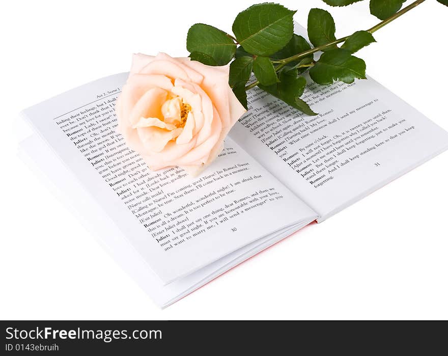 The rose laying on the book on a white background. The rose laying on the book on a white background