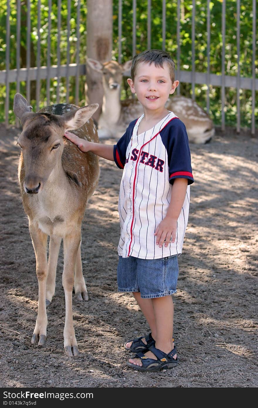 Young Boy Touching The Back Of A Deer