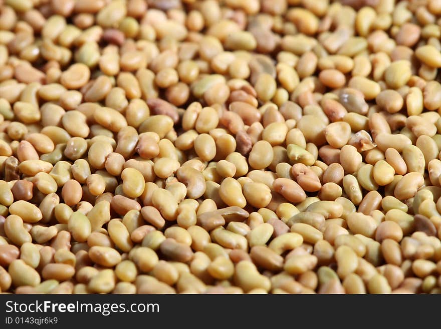 Colorful seeds mixture close-up