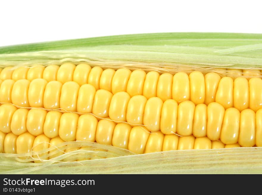 Yellow corn close up in studio