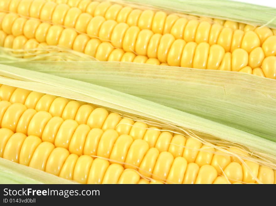 Yellow corn close up in studio