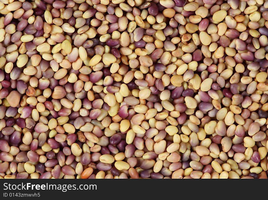 Colorful seeds mixture close-up background texture