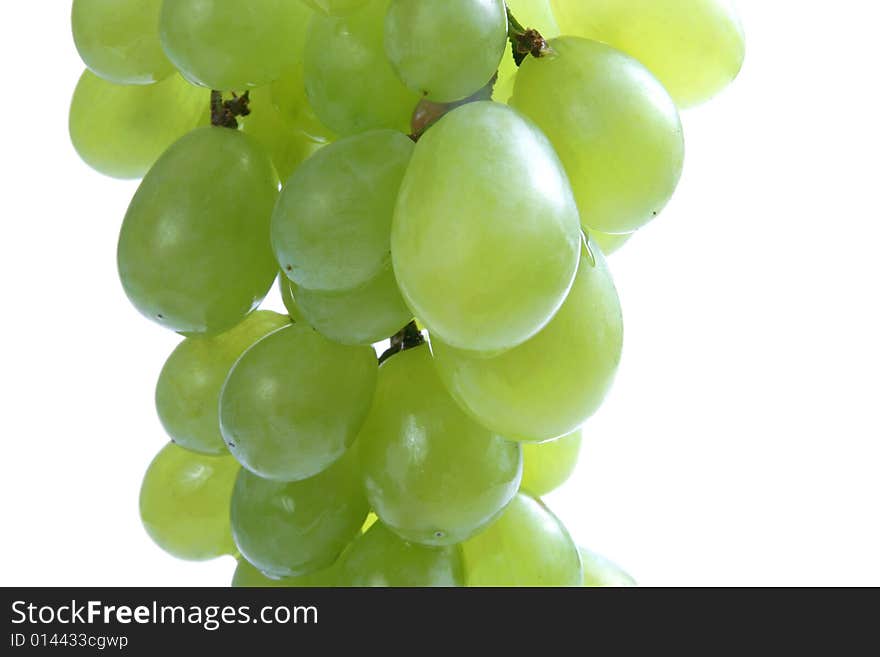 Close Up  Green Grape