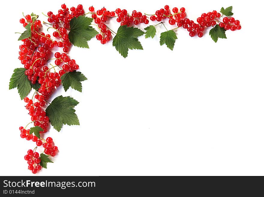 Red currants