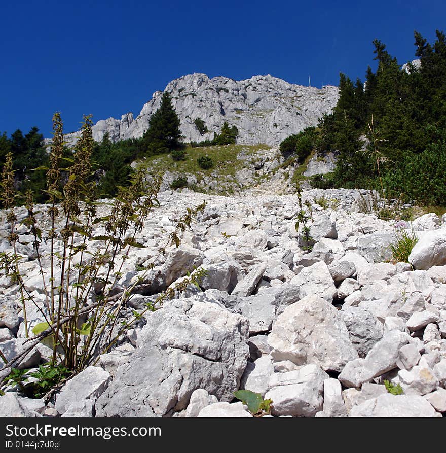 Stone talus on Wendelstein