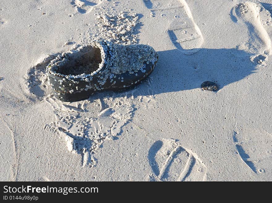 Shoe washed up on a beach suggesting environmental pollution. Shoe washed up on a beach suggesting environmental pollution