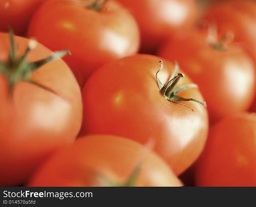 The group of Tomatoes