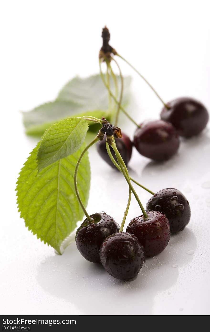 The Wild Cherry or Sweet Cherry on the white background. The Wild Cherry or Sweet Cherry on the white background.