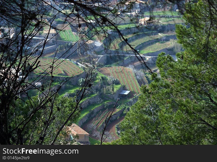 Field in steps in Majorca in Spain. Field in steps in Majorca in Spain