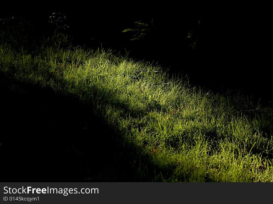 Vanishing sunbeam on the bright green grass. Vanishing sunbeam on the bright green grass