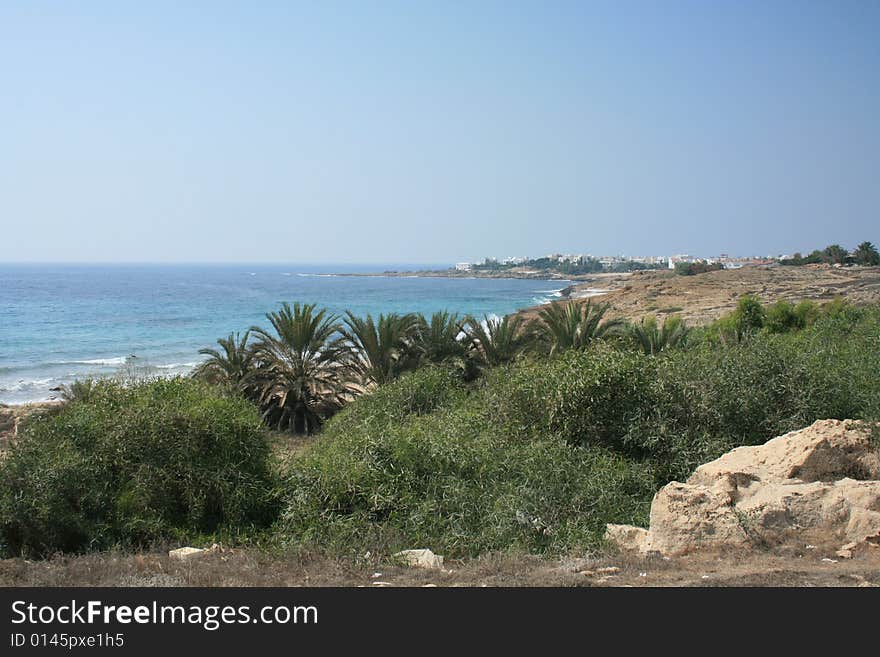 A sea side undeveloped area in Paphos, Cyprus, shrubs bamboo and palms visible. A sea side undeveloped area in Paphos, Cyprus, shrubs bamboo and palms visible