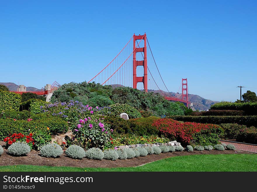 Flower garden near the golden gate bridge