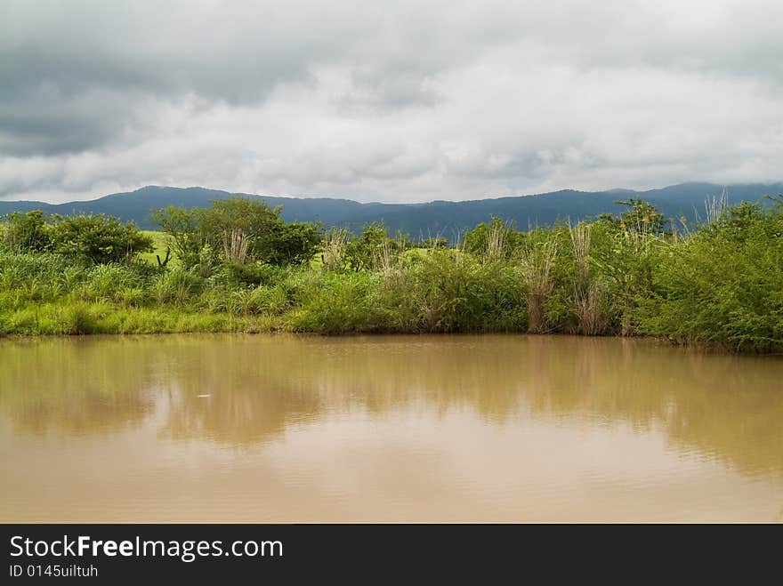 Muddy Pond