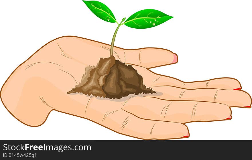 Young sprout in a hand. Vector illustration. Young sprout in a hand. Vector illustration.