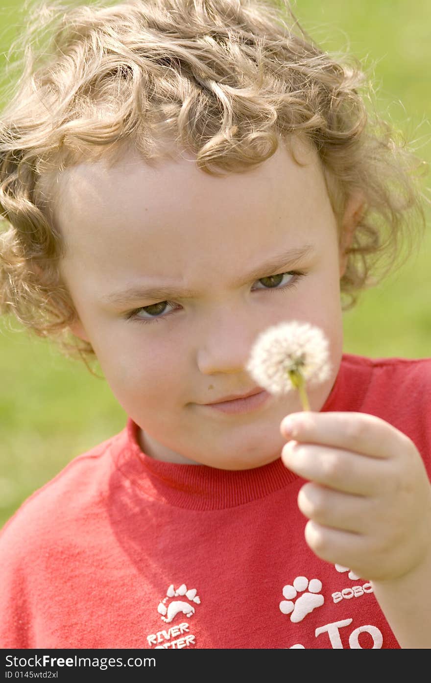 Blowing Dandelion