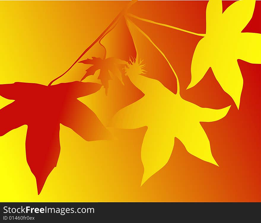 Silhouettes of leaves, falls color, yellow, orange