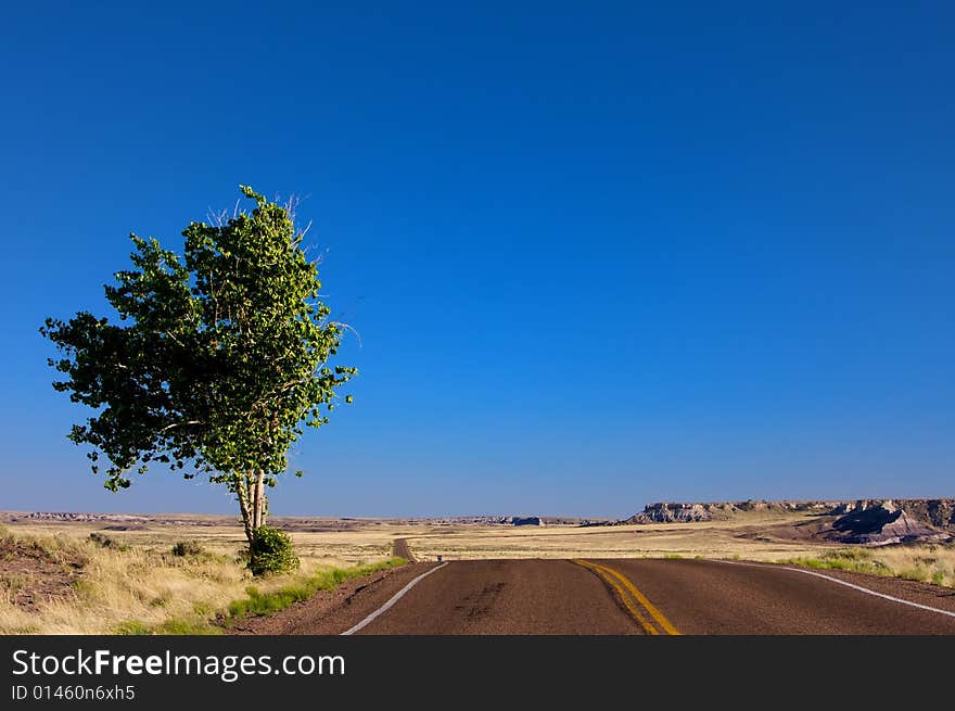 An image of an open desert highway