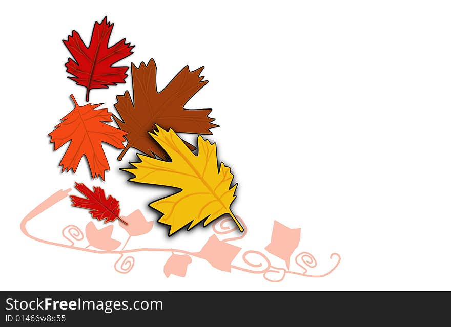 Autumn fall leaves with white background. Autumn fall leaves with white background