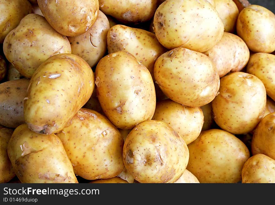 Potato horizontal