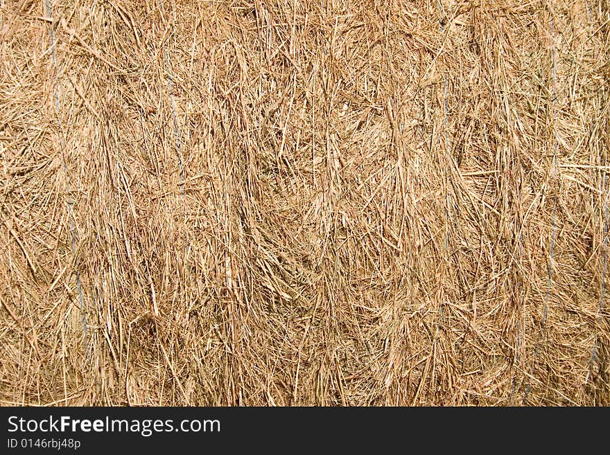 Hay  Bale