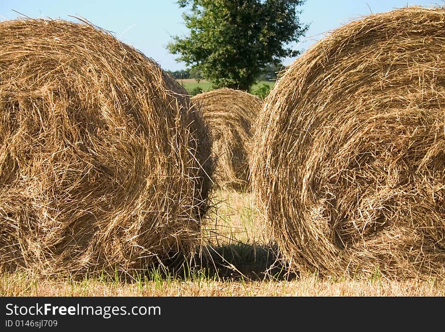 Two Hay  Bales