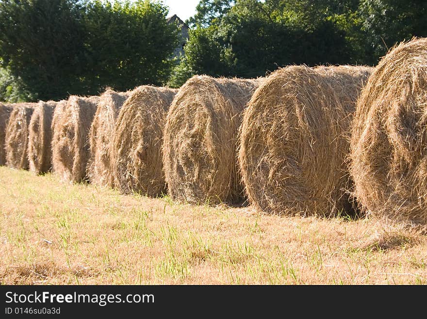 Hay  bales