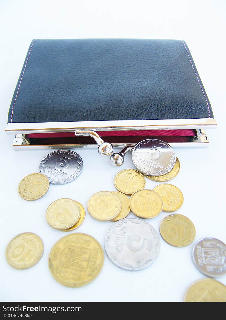 Purse With Money