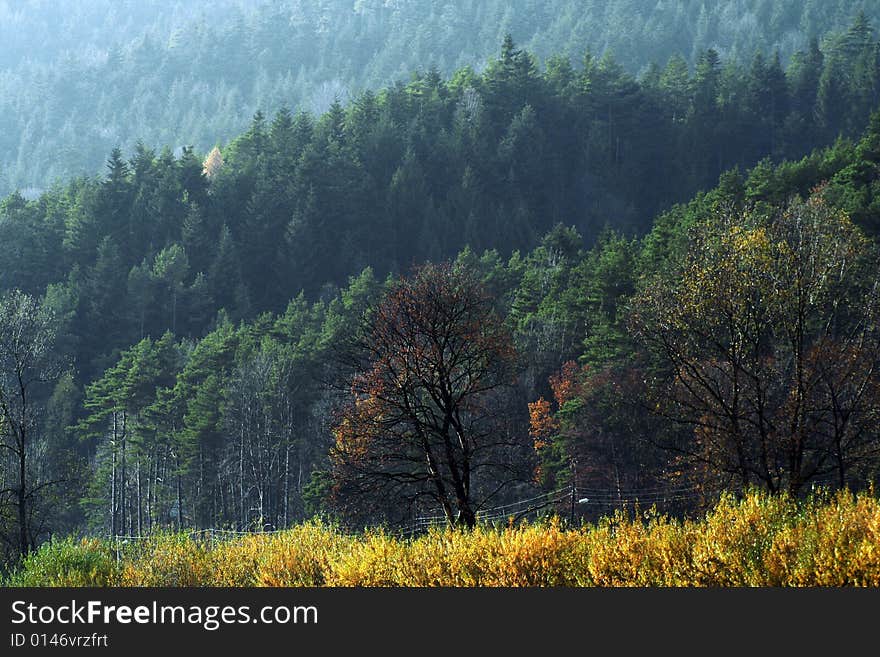 Various colors of nature at the beginning of autumn. Various colors of nature at the beginning of autumn