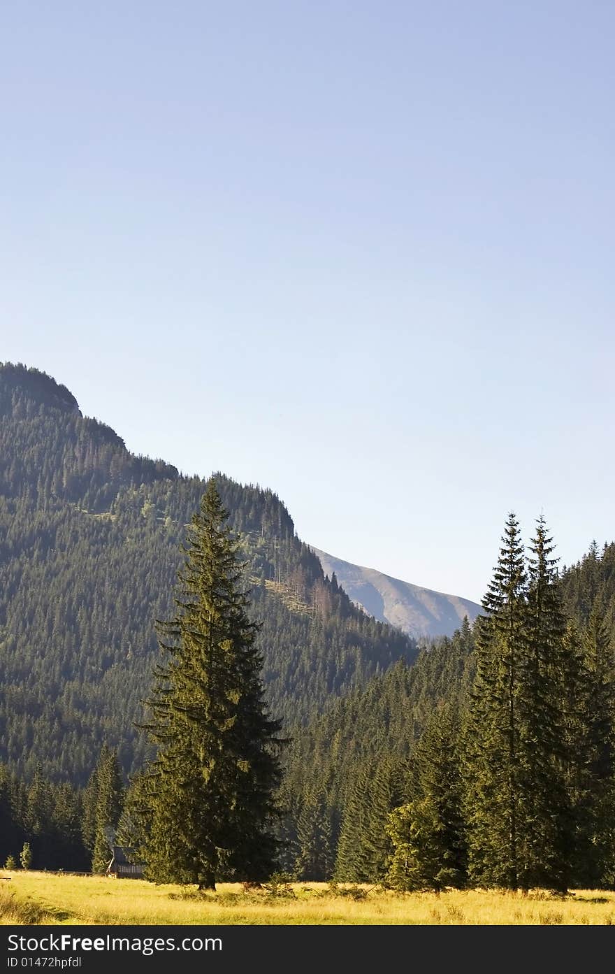 View of a valley in Polish Tatra mountains