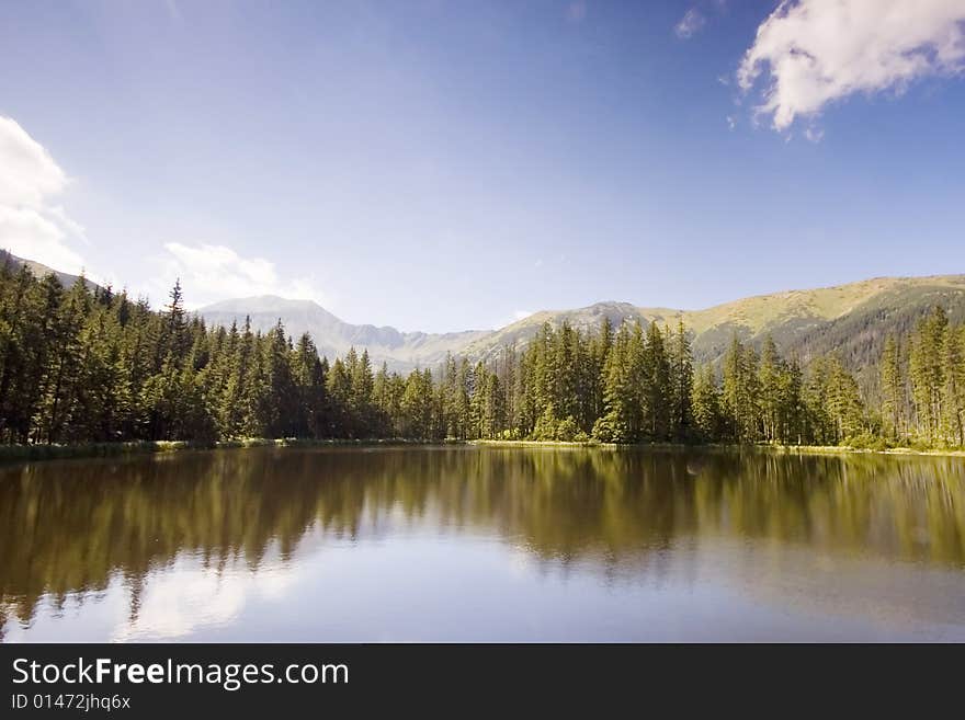 Mountain lake in Polish Tatras reflecting a forest