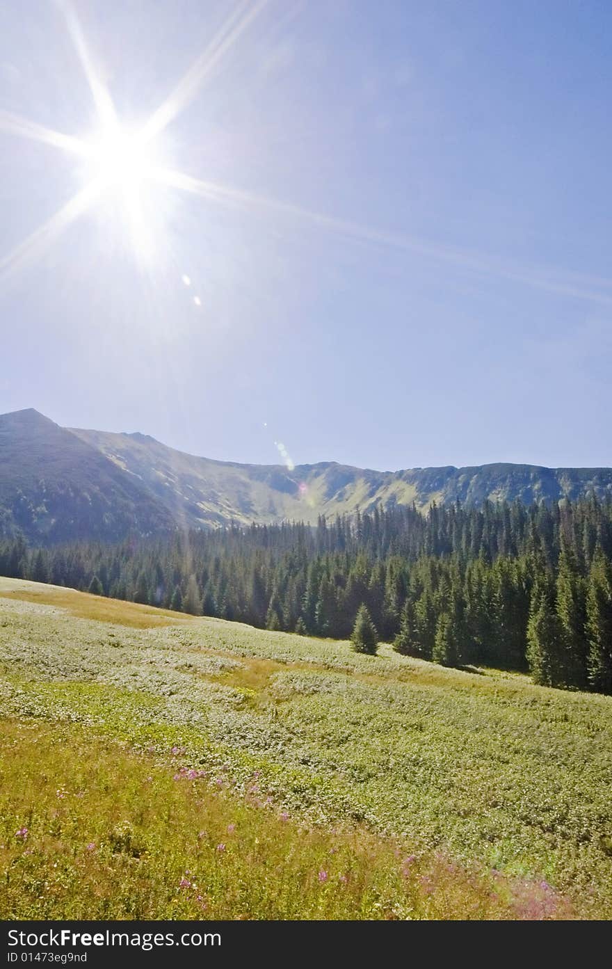 Summer day in a valley in Polish Tatra mountains