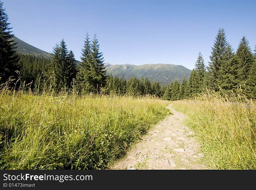 Pathway in Polish Tatra mountains in Summer