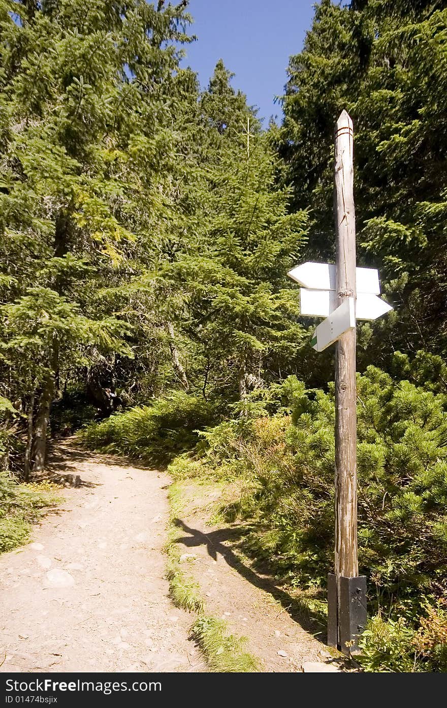 Pathway in Polish Tatra mountains in Summer