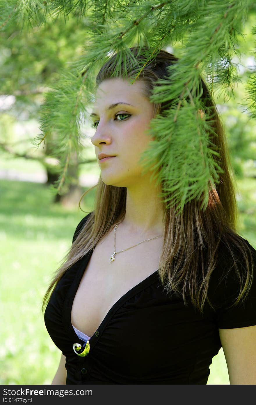 The beautiful girl among coniferous branches