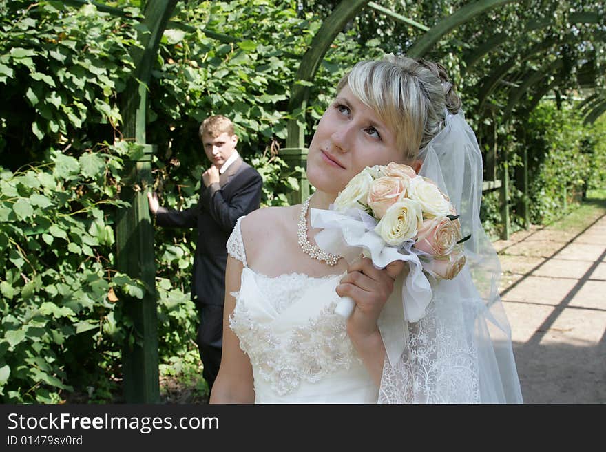 The groom and the bride walk in park in the summer. The groom and the bride walk in park in the summer