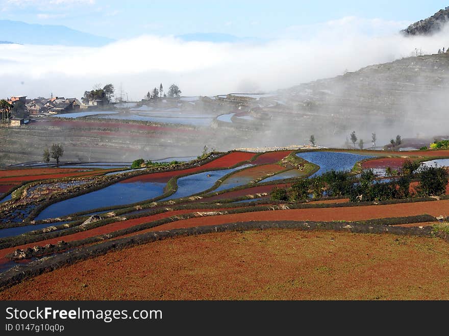 The colorful field, I like it. The colorful field, I like it.