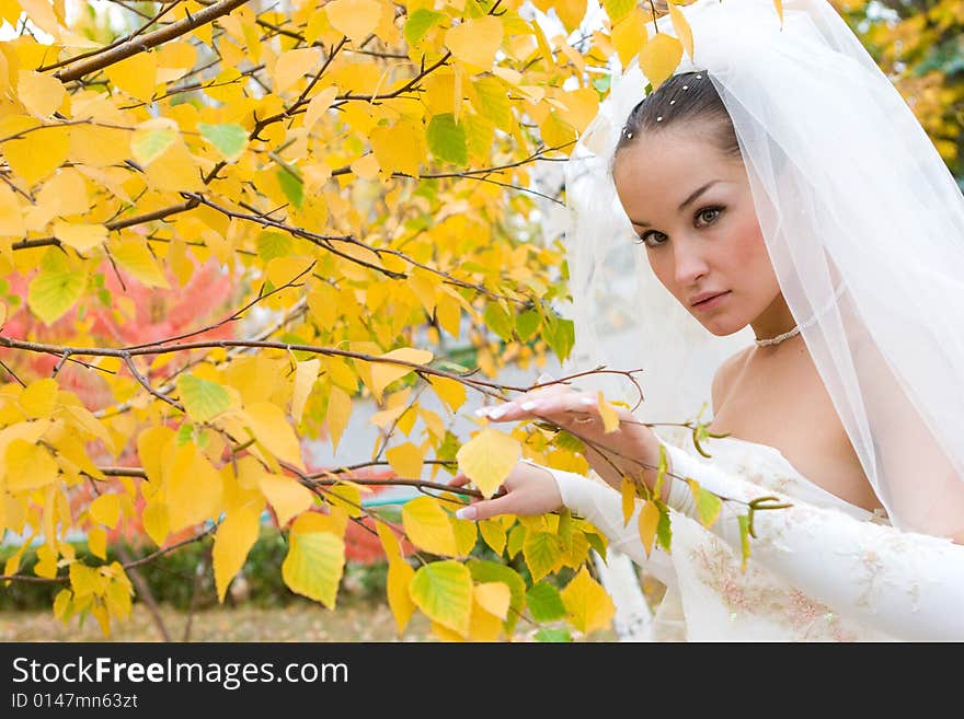 Bride in autumn