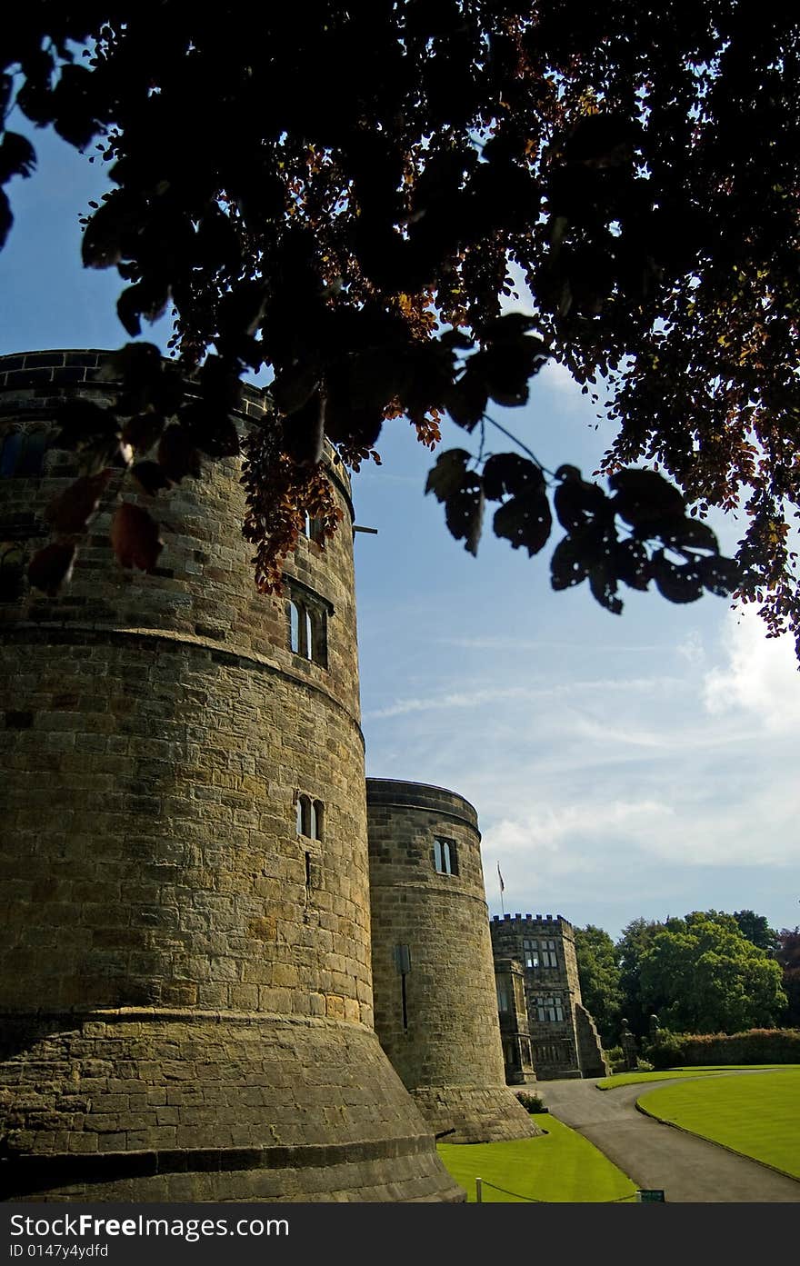 Castle under the trees