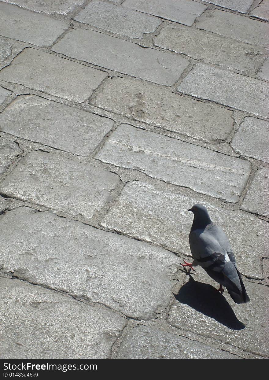 This photo was taken in a central square in Wien. This photo was taken in a central square in Wien