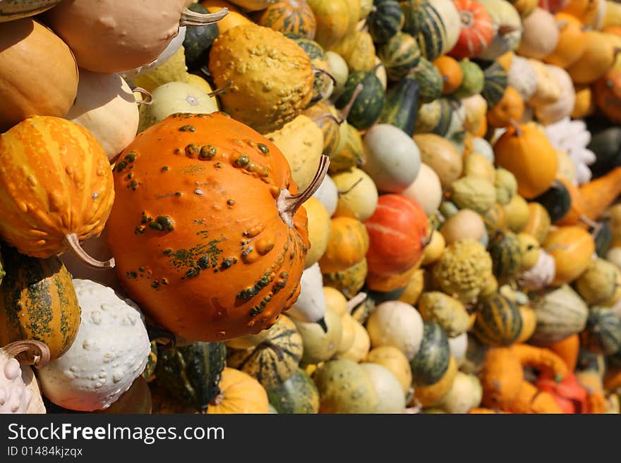 Yellow, orange and green pumpkins