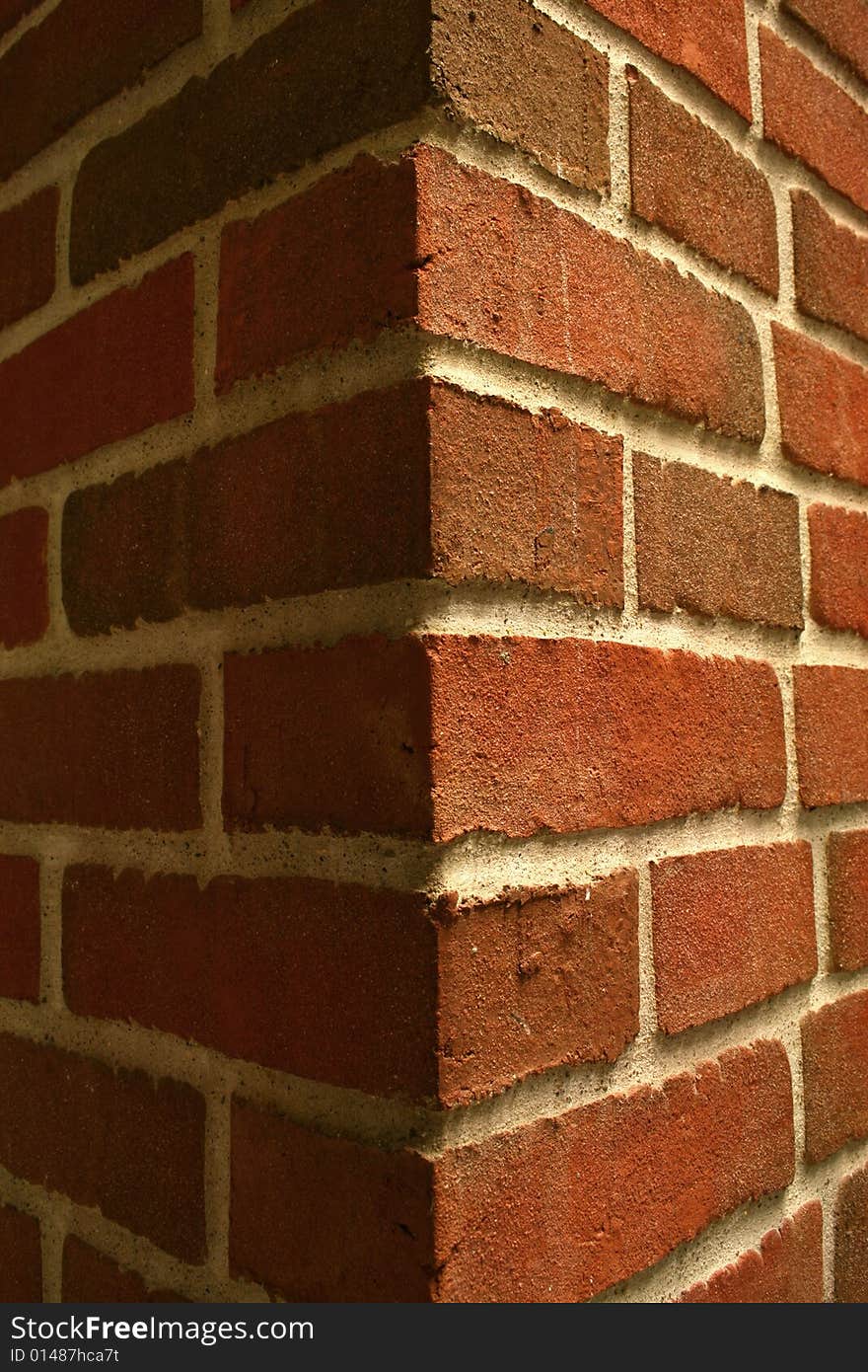 A close-up of the light and dark side of a brick wall.