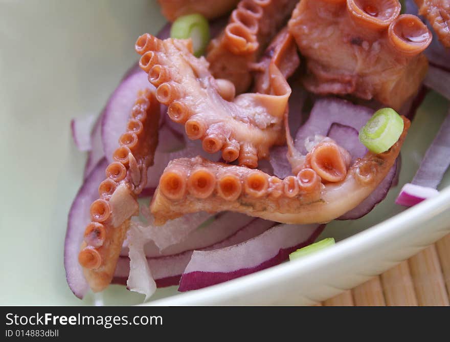 Octopus