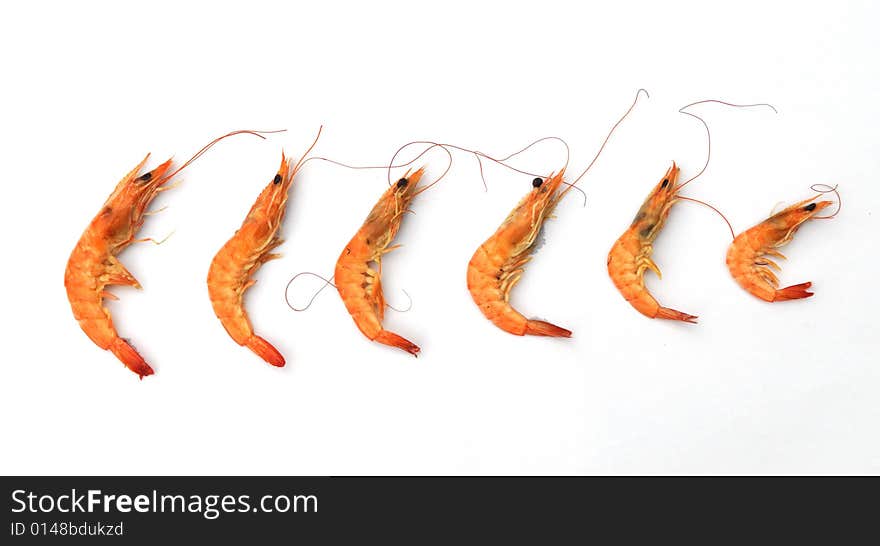 The six red steamed shrimps in sequence from big to small on white background.