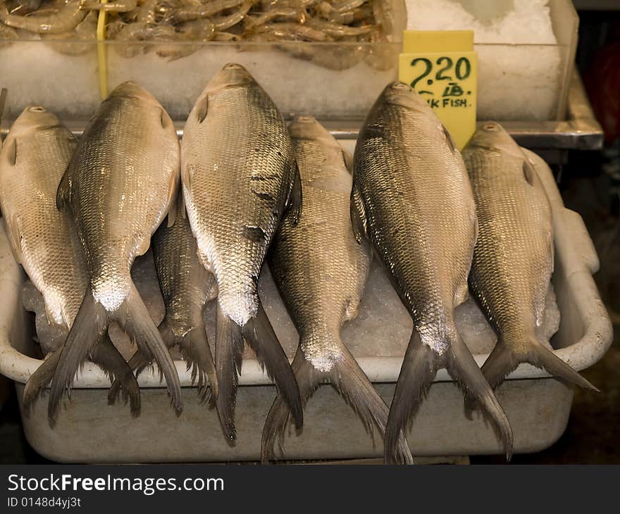 A row of fresh fish over crushed ice. A row of fresh fish over crushed ice.