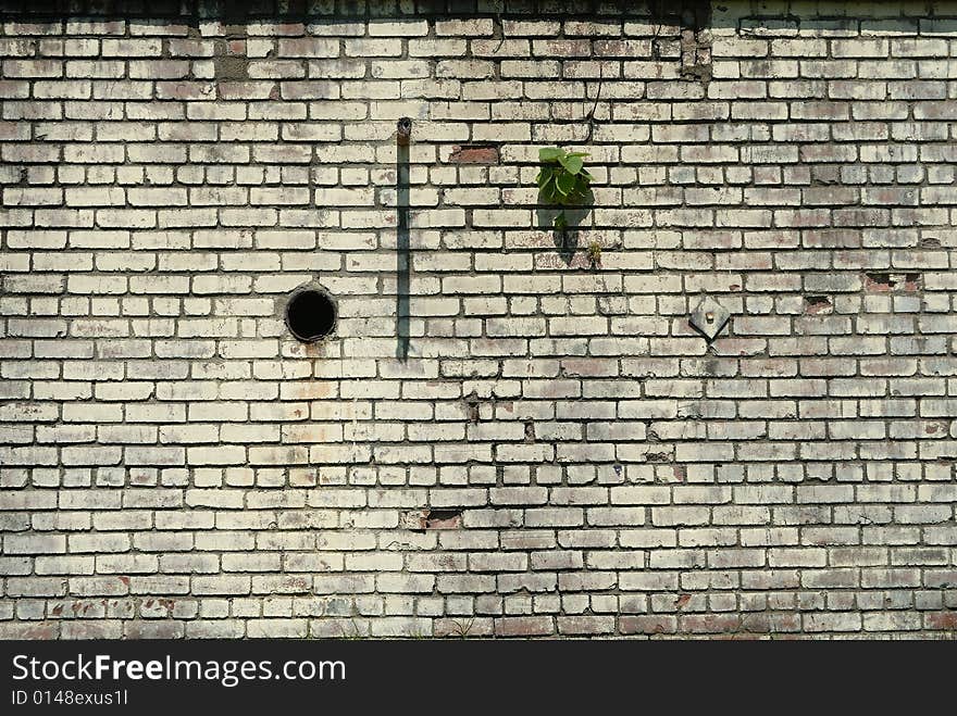 Close up of white stained and weathered brick wall. Close up of white stained and weathered brick wall.